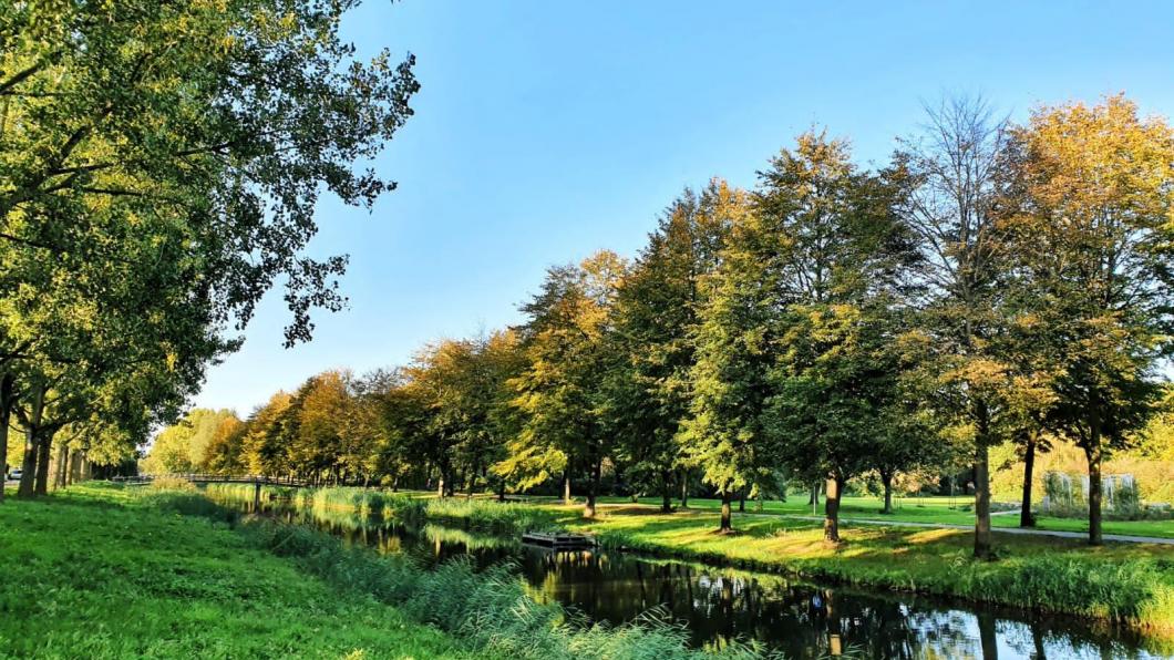 Groen sloot en brug