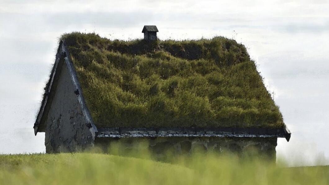 Groen dak zonder land in verte