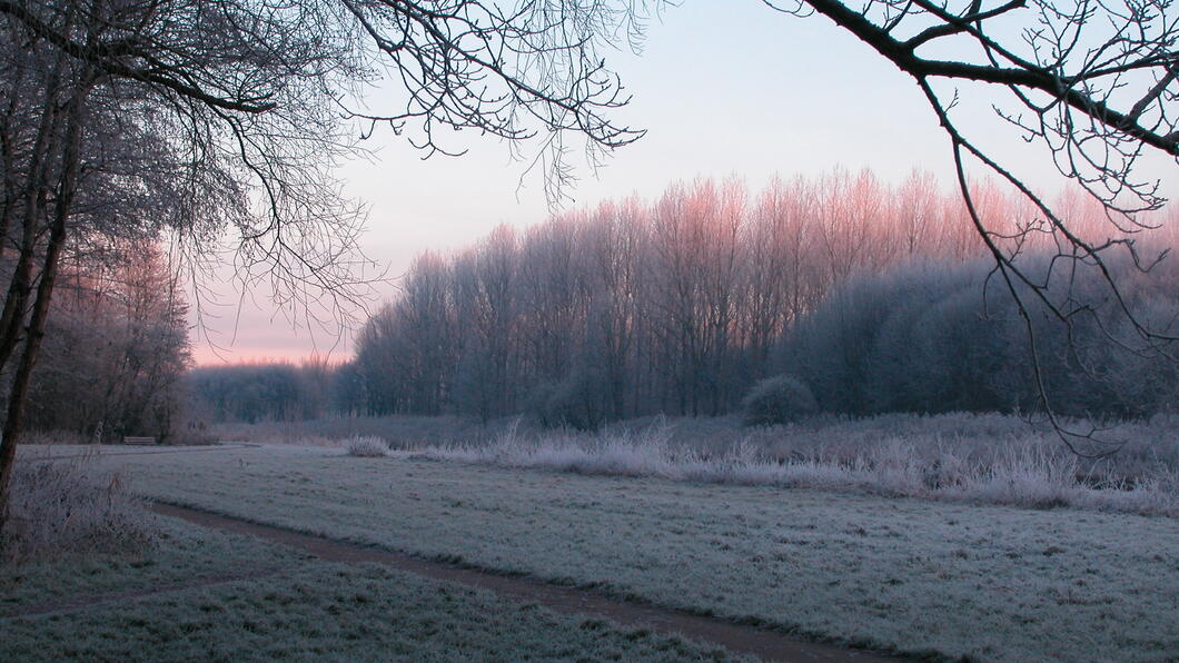 Stiltegebieden natuur