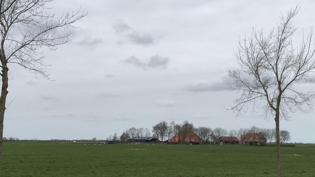 Boerderij