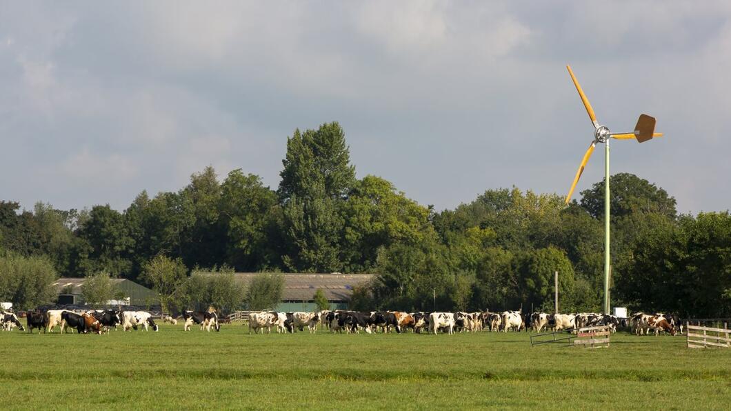 Boeren windmolen