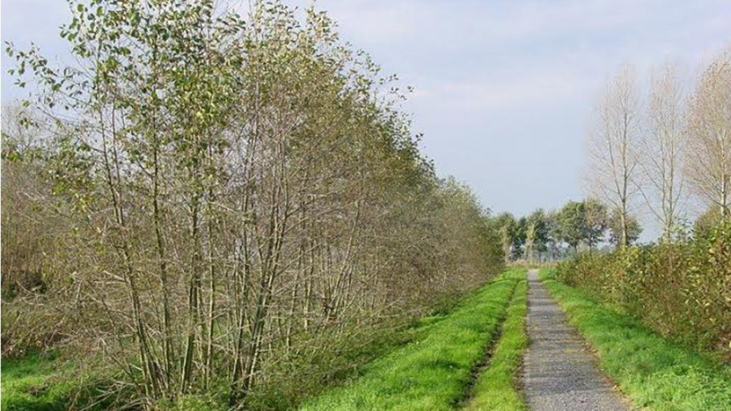 landschapsbeheerkopie.jpg
