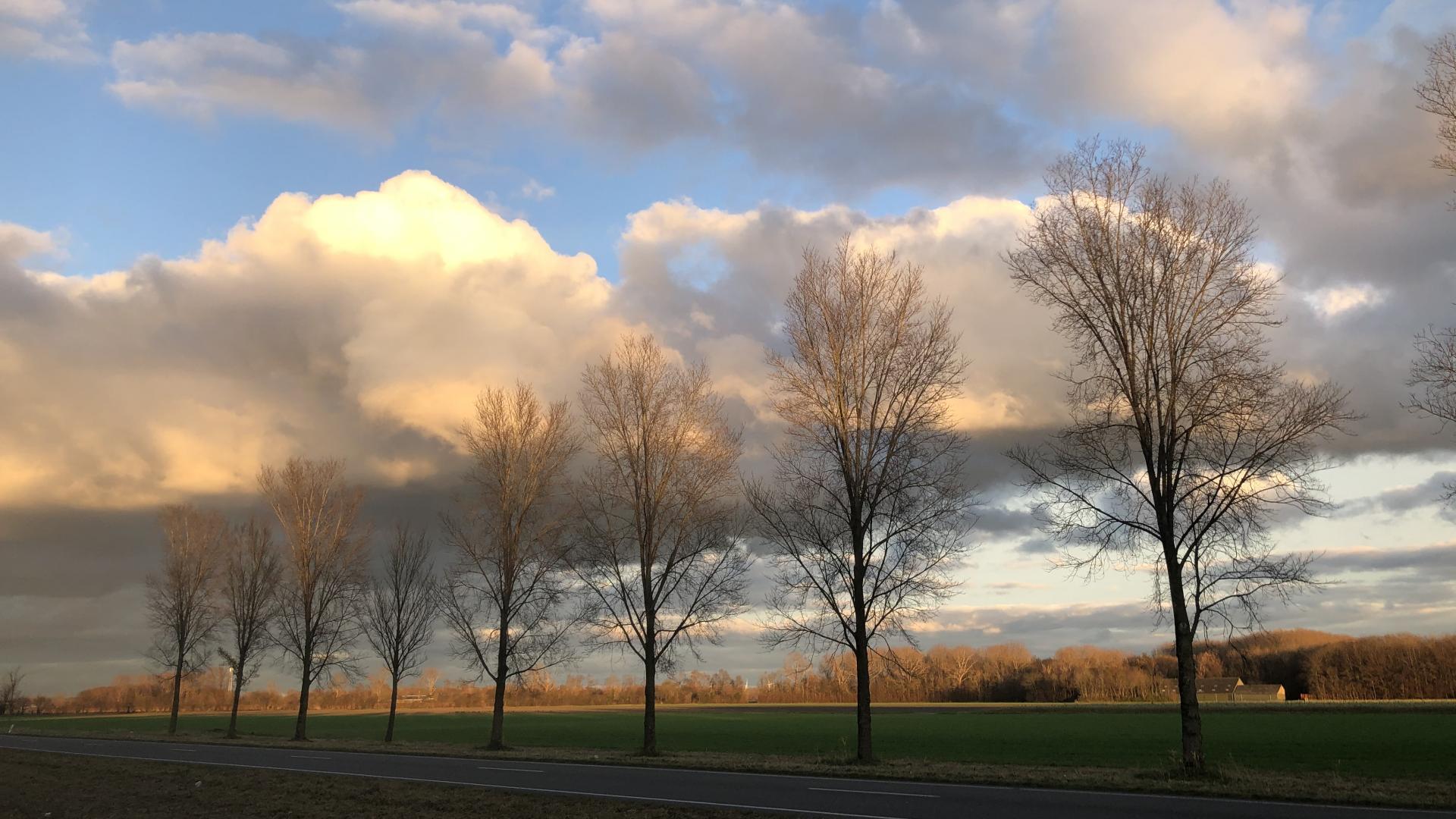 Flevoland