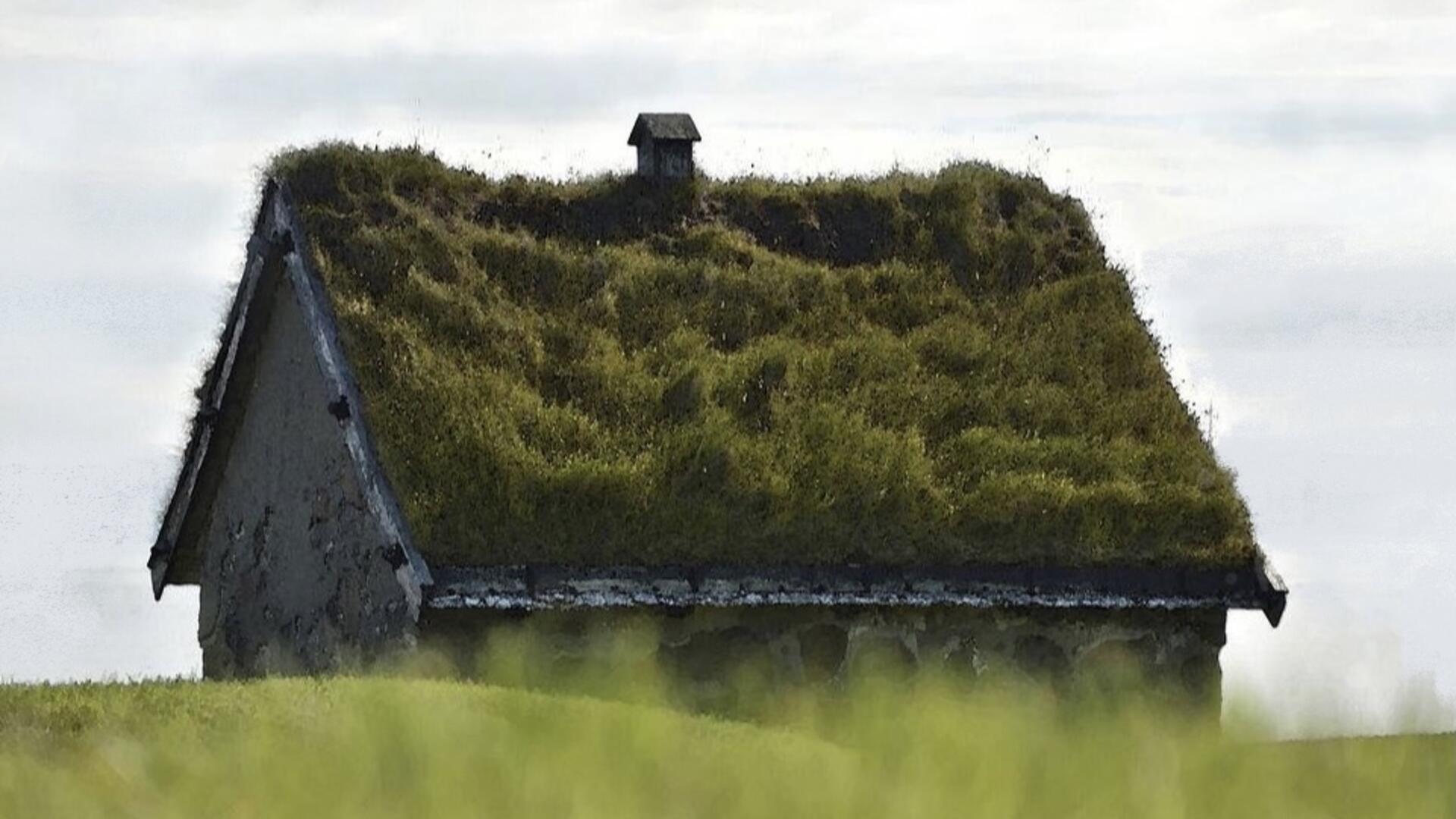 Groen dak zonder land in verte