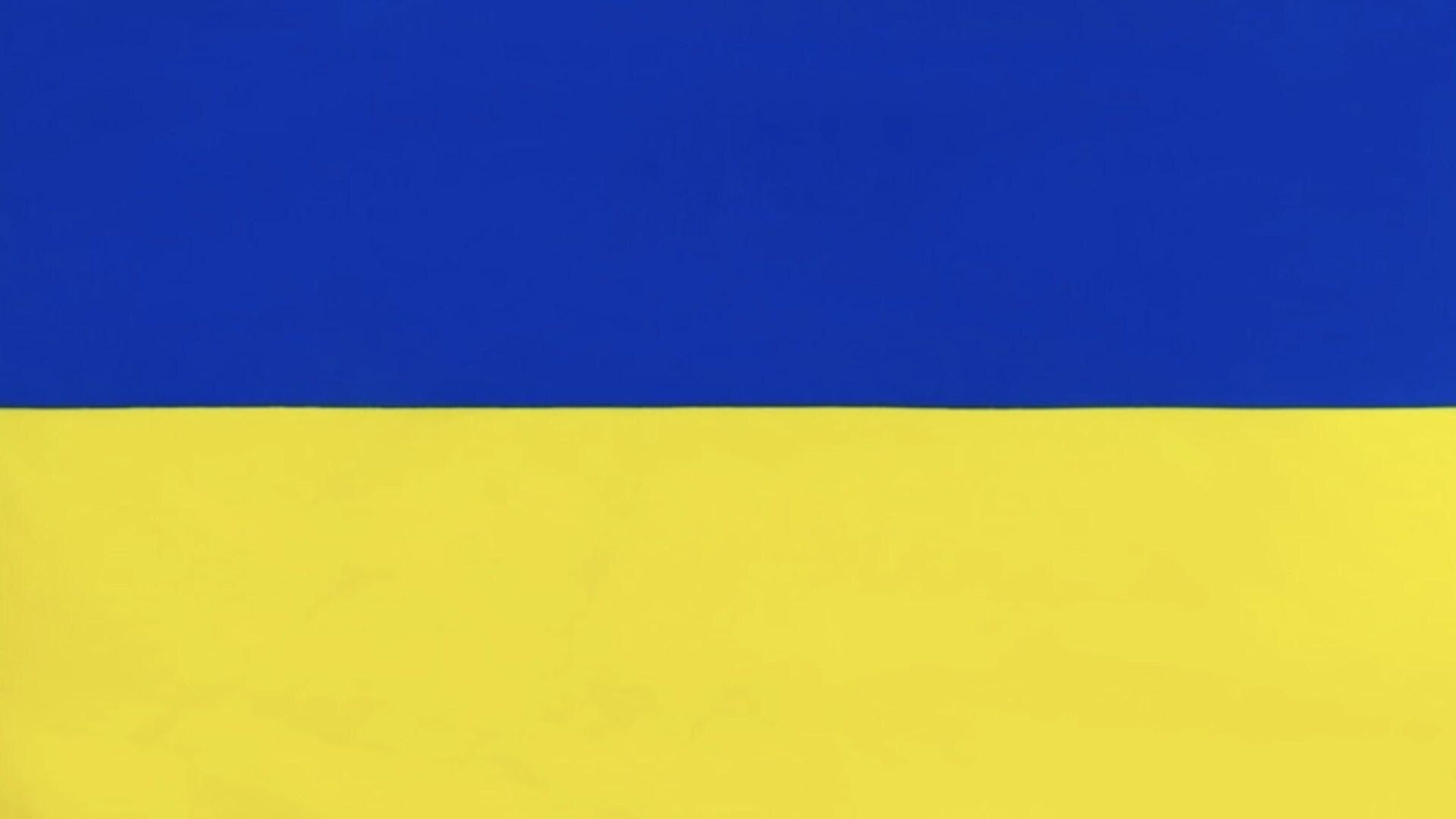 Oekrainsche vlag 
