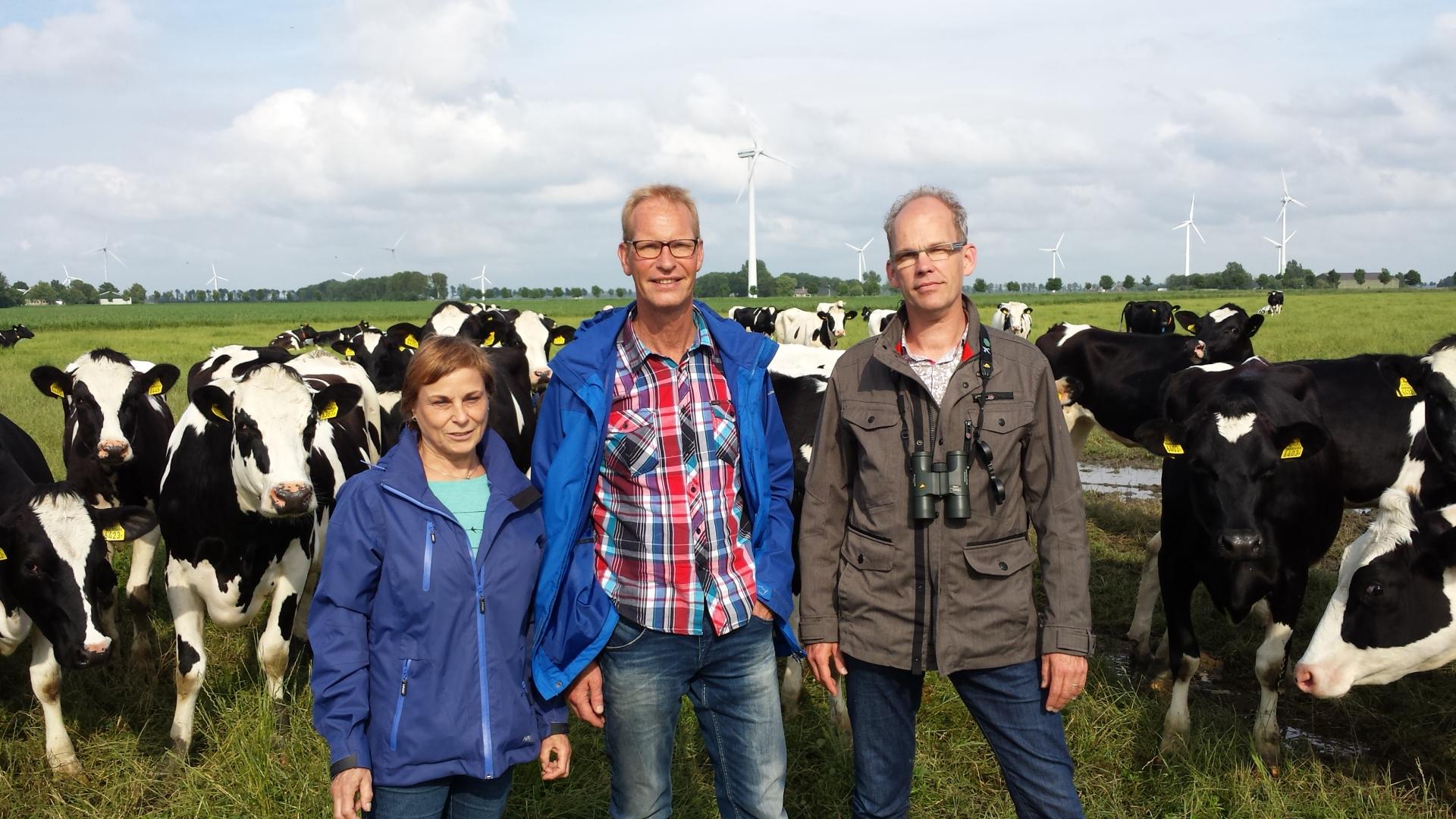 Weidevogelbeheer